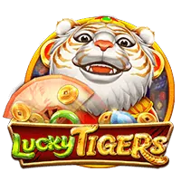 Online Poker
